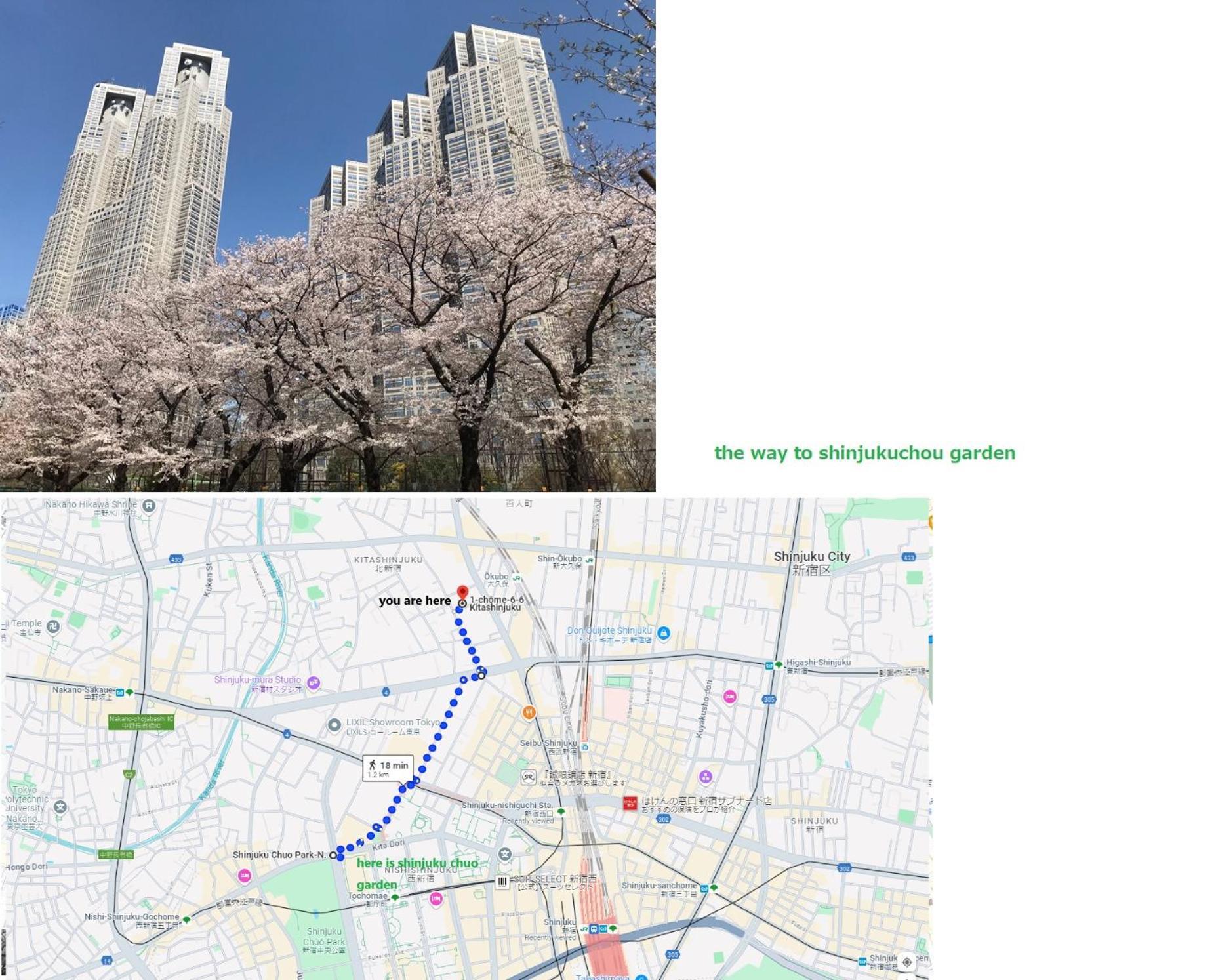 大久保駅から４分、貸切、韓国ダウン至近、新宿/歌舞伎町に徒歩圏内 、단독사용민박 Tokyo Eksteriør bilde